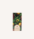 Chocolate Negro com Maçã Desidratada 100g — Porta da Loja